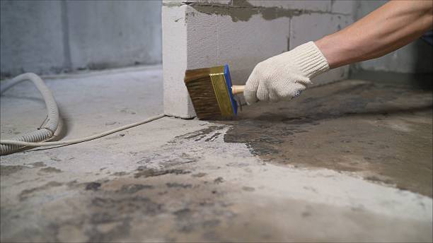 Top rated local Basement Waterproofing specialists in Benton Ridge, OH